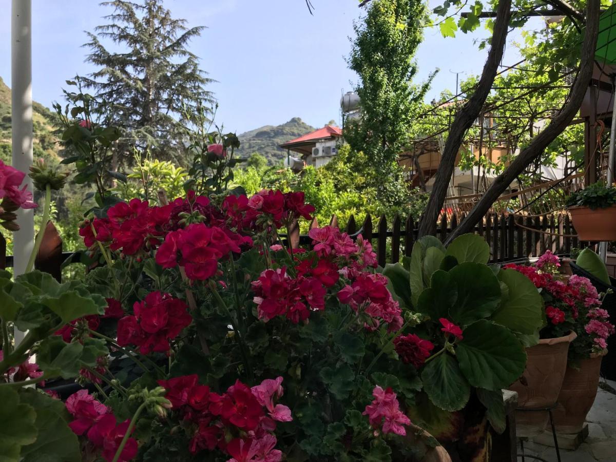 Giannoullas Luxury2Bedroom House In Kalopanagiotis Exterior foto